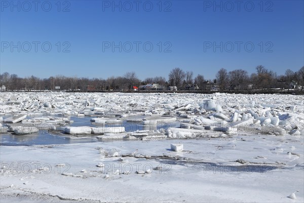 Pack ice in spring