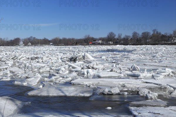 Pack ice in spring