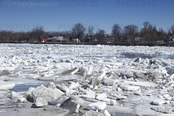 Pack ice in spring