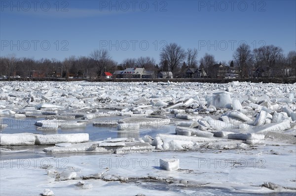 Pack ice in spring