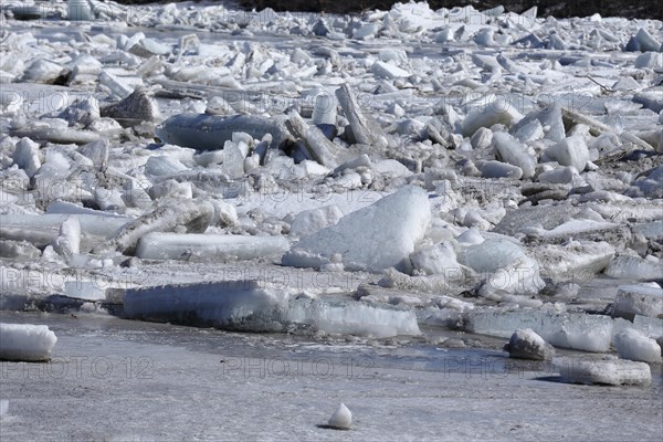 Pack ice in spring