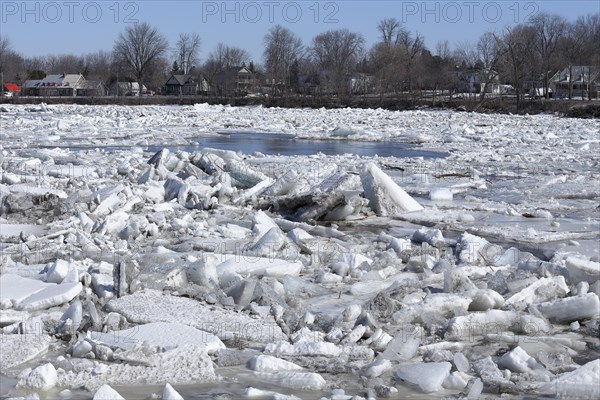 Pack ice in spring