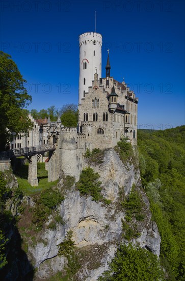 Lichtenstein Castle