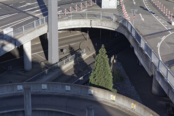 Single tree in the middle of elevated roads