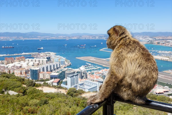 Overview Gibraltar Airport