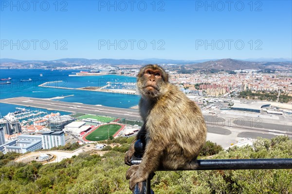 Overview Gibraltar Airport