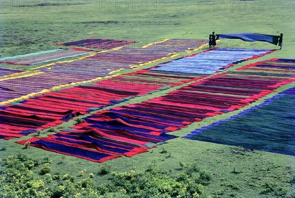 Drying Sungadi saris