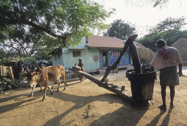Wooden oil crusher called Marachekku in Tamil Nadu