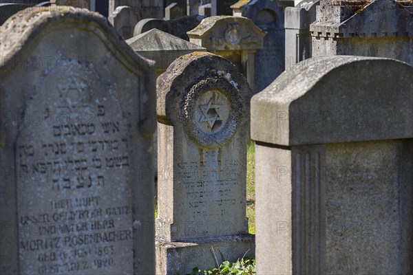 Gravestones at the New Jewish Cemetery