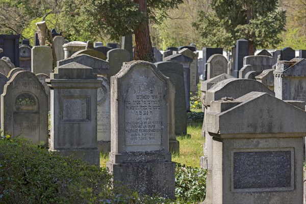 Gravestones at the New Jewish Cemetery