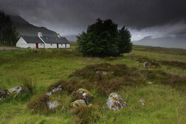 Buachaille Etive Mor