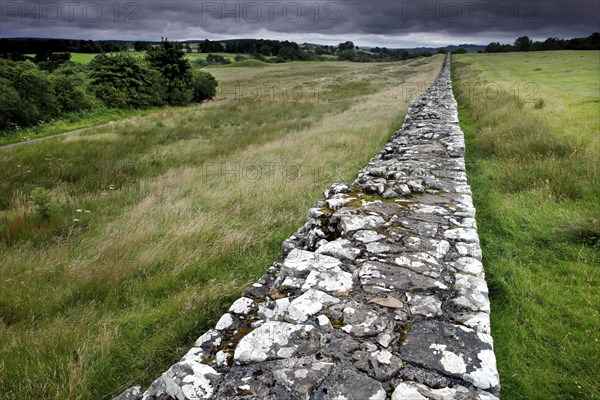 Hadrian's Wall