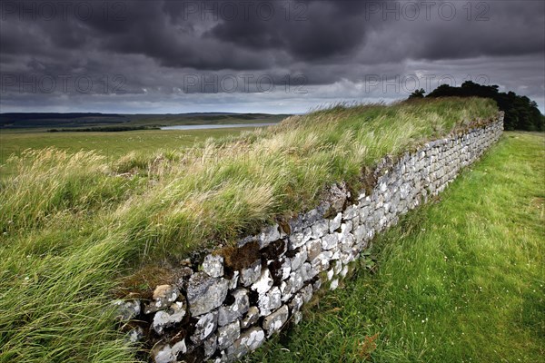 Hadrian's Wall