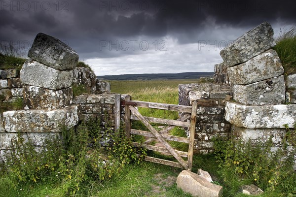 Hadrian's Wall