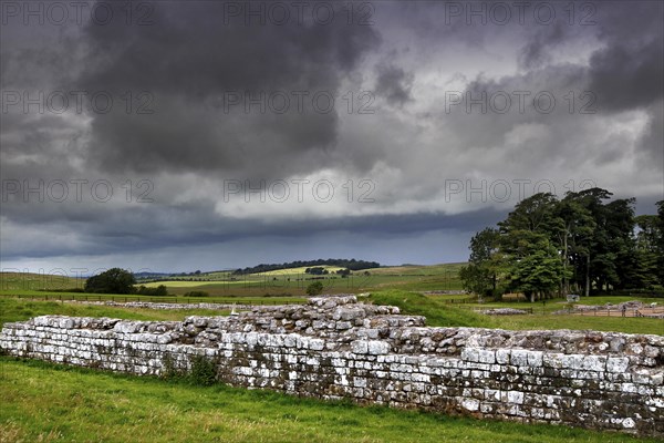 Hadrian's Wall