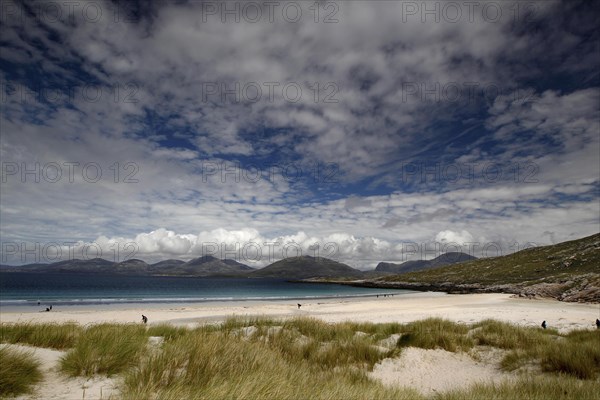 Luskentyre beach