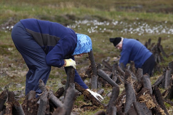 Peat digger