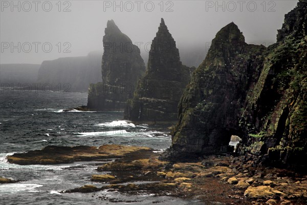 Coast at low tide