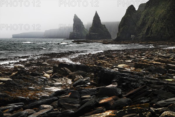 Coast at low tide