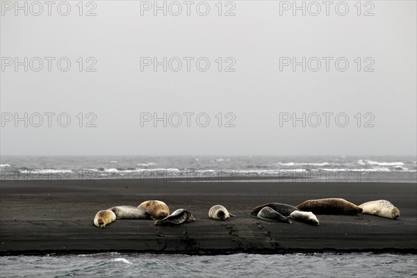 Seals