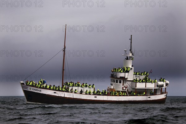 Whale watching tour