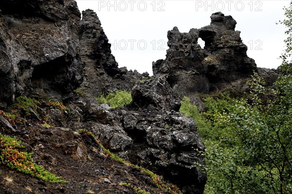 Lava formations