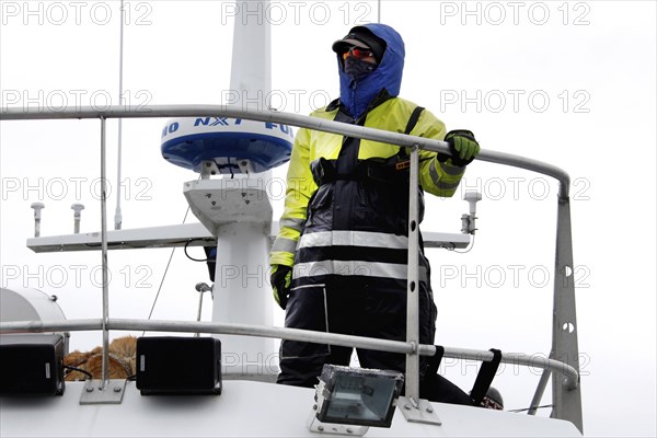 Whale Watching Tour