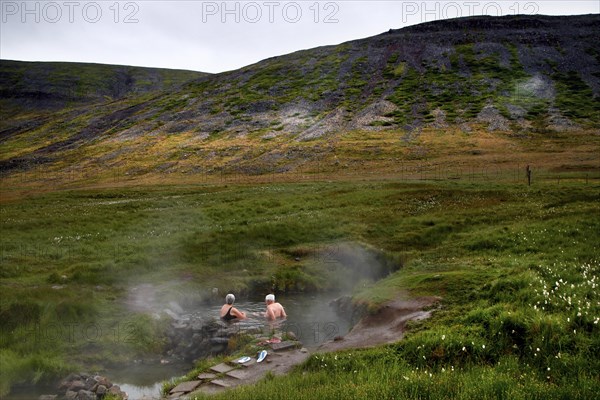 Natural pool