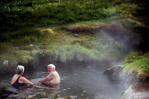 Natural pool