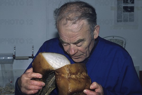 Man tests Greenland shark