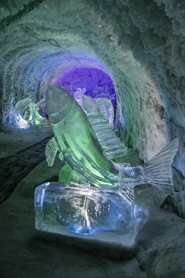 Colourful ice sculptures in the Permafrost kingdom