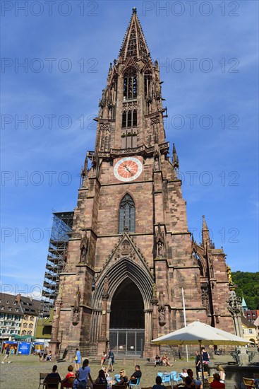 Freiburg Cathedral or Muenster Unserer Lieben Frau