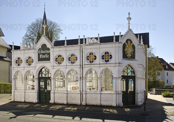 Fountain house of the Liborius healing spring