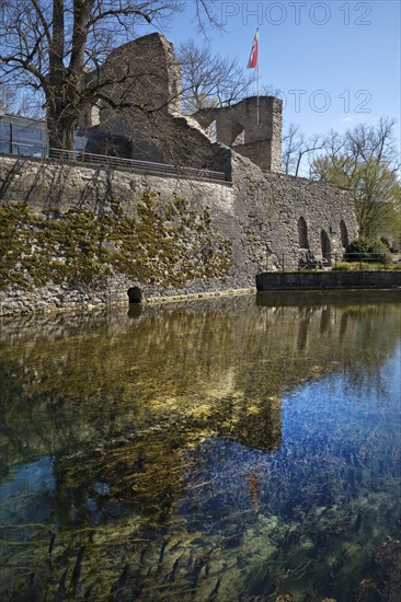 Lippe spring with castle ruins