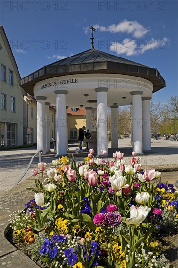 Arminius Spring at the edge of Arminius Park