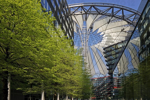 Trees with the dome of the Sony Center