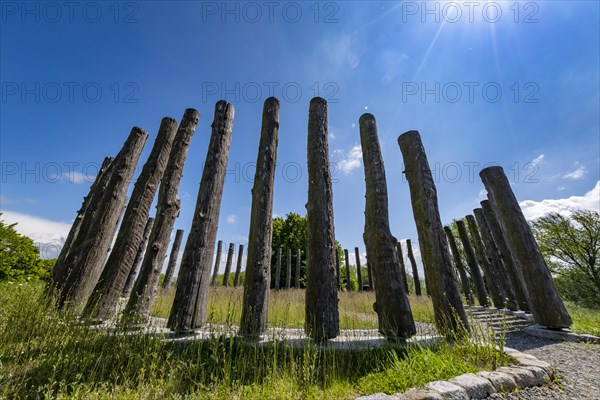 Woodhenge near Pevestorf