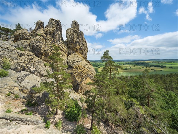 Rock formation Hamburger Wappen