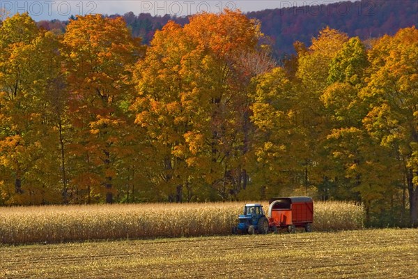 Harvesting