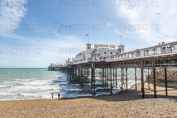 Brighton Palace Pier with Seagulls