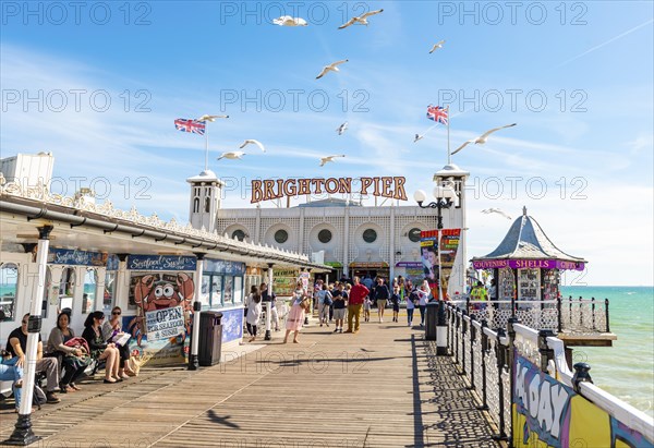 Tourists at Brighton Palace Pier with seagulls