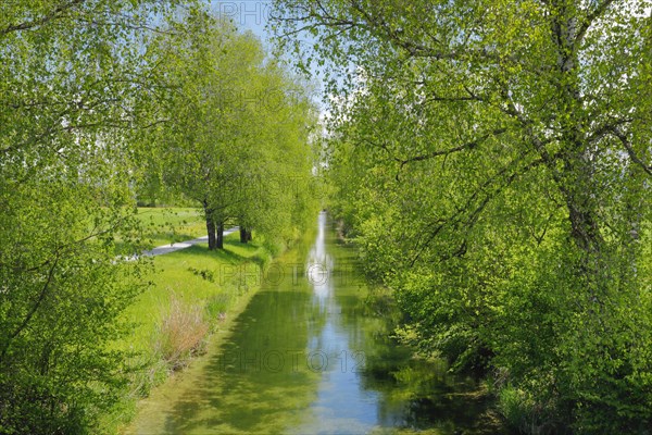 Beginning of the river Glatt at the Greifensee near Faellanden and Schwerzenbach in the canton of Zurich