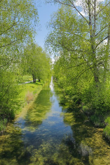 Beginning of the river Glatt at the Greifensee near Faellanden and Schwerzenbach in the canton of Zurich