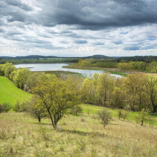 Typical landscape of the Uckermark in spring