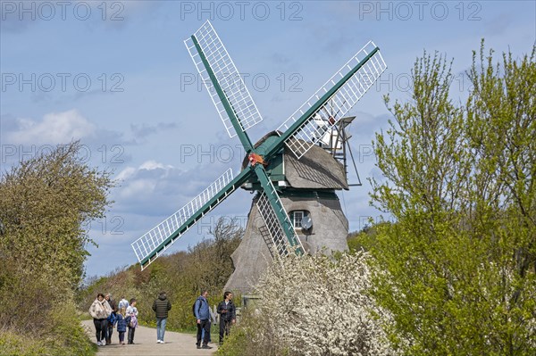 Windmill Charlotte
