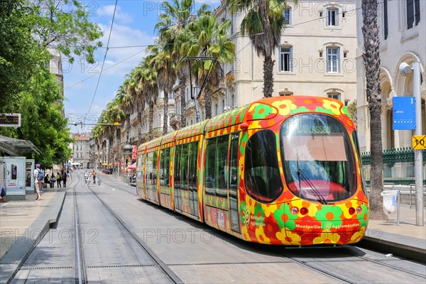 Alstom Citadis tram Tramway de Montpellier public transport at the Gares stop in Montpellier