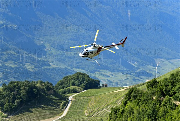 Helicopter Eurocopter AS350 B2 Ecureuil of Air-Glaciers SA sprays pesticides on vineyards in the wine-growing area of Leytron