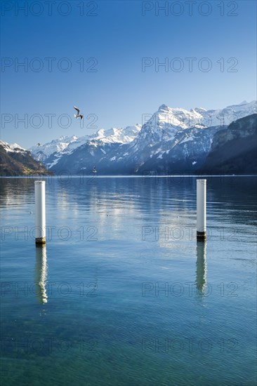 View from Brunnen over the Lake of Uri towards Flueelen