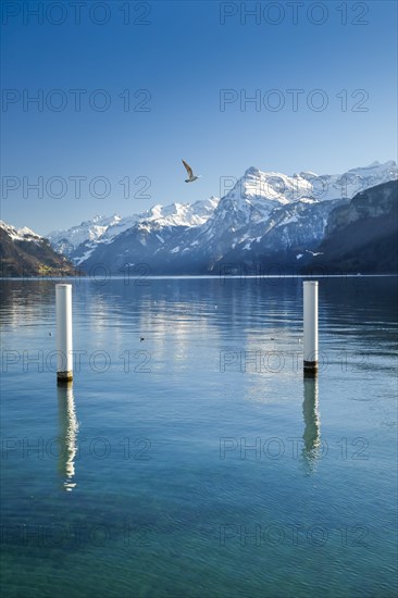 View from Brunnen over the Lake of Uri towards Flueelen