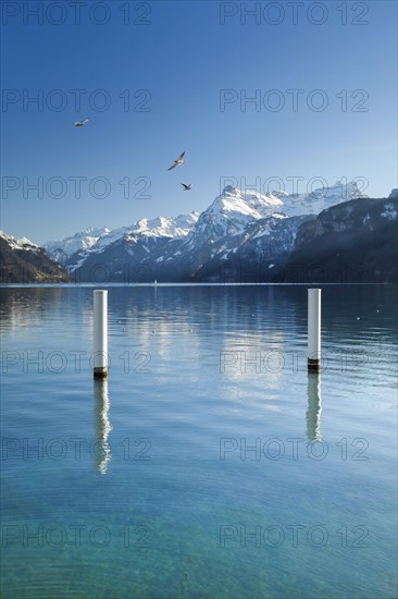 View from Brunnen over the Lake of Uri towards Flueelen